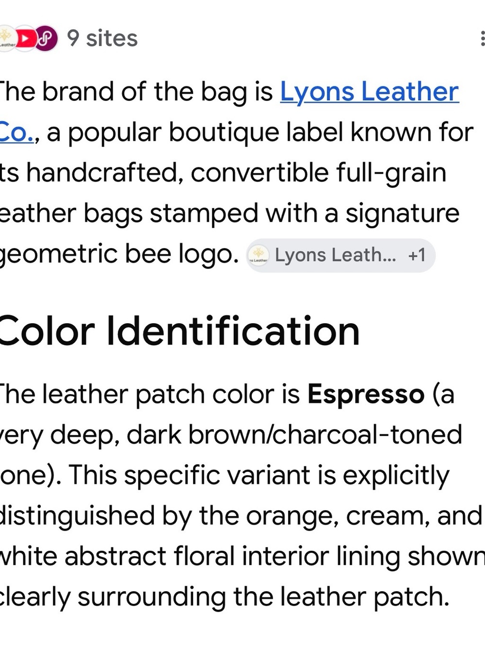 Lyons Leather Co. “The Bee” Bag in Stone - 10” x 5” x 2.5” - Picture 13 of 14